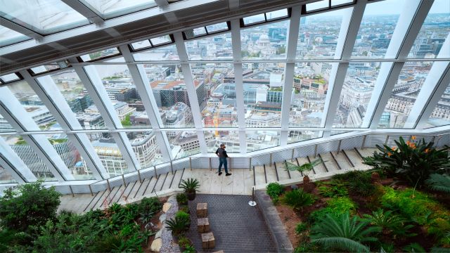 The view over London from Sky Garden. Image: © visitlondon/City of London/Antoine Buchet A man looking out over London from the rooftop of a glass building