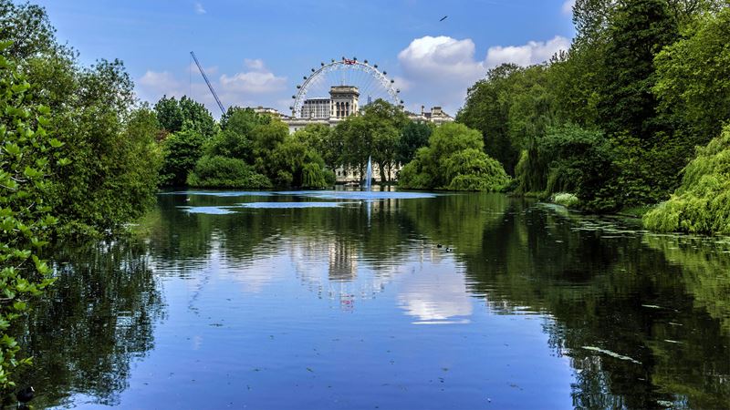Looking across the lake at St James's Park © Shutterstock / Kiev.Victor. Image courtesy of Shutterstock. Looking across the lake at St James's Park on a sunny day. The park is lined with green trees, and the London Eye is in the background - all of which are reflecting in the water.