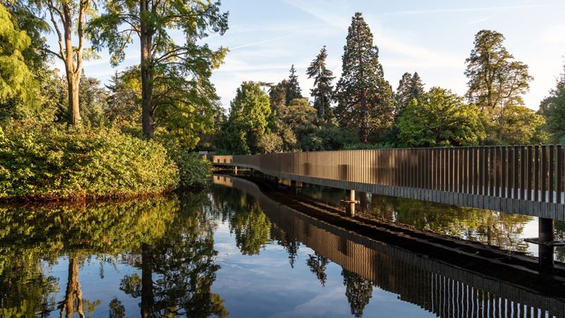Discover beautiful bridges and tree top walkways at Kew Gardens. Photo: visitlondon.com/Jon Reid. Reflections of trees in the water surrounding the Sackler Bridge at Kew Gardens.