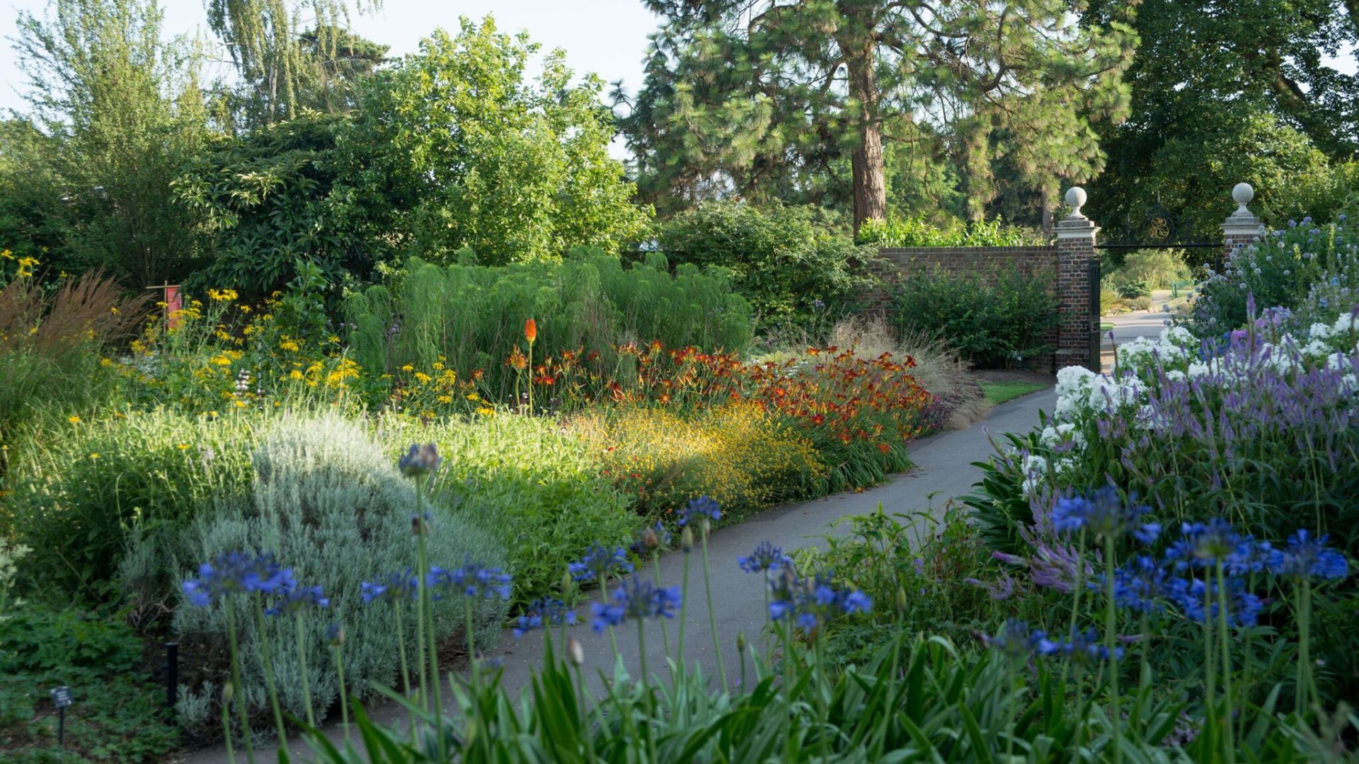 See vibrant blooms in the Duke's Garden in Summer at Kew Gardens. Image courtesy of RBG Kew. Vibrant blooms next to an old wall in the dukes garden at kew gardens in london.