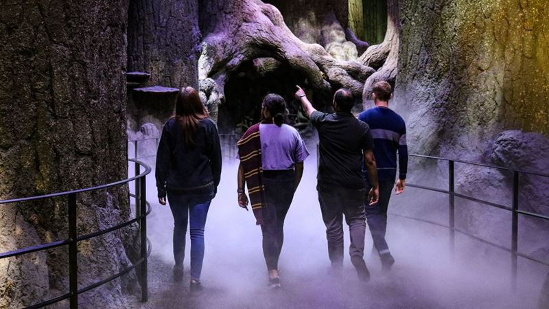 Aventurez-vous au coeur de la forêt interdite et partez à la rencontre d'Aragog. TM & © Warner Bros. Entertainment Inc. Harry Potter Publishing Rights © JKR. Quatre personnes marchent à travers la forêt interdite aux studios Warner Bros.