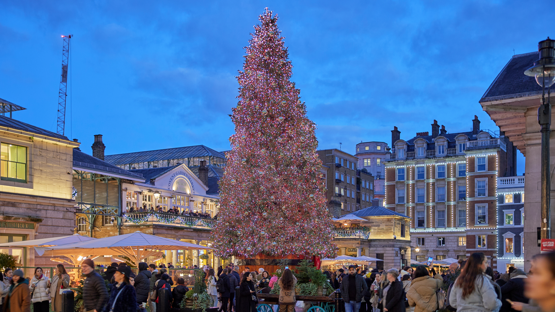 Stop by Covent Garden to see the glittering Christmas decorations. Image courtesy of Covent Garden. Covent Garden square at blue hour full with people dressed for winter with the huge Christmas tree in the middle, covered in red and blue twinkling lights