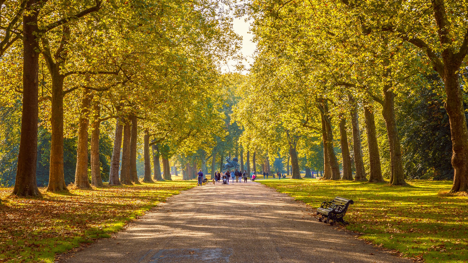 Hyde Park alley and trees with a bench and leaves on the ground on a clear autumn day.