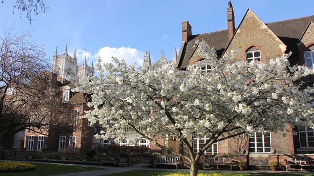 A garden filled with blossom trees behind the grounds of Westminster Abbey on a sunny day