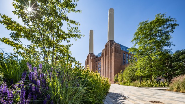 Battersea Power Station. Image courtesy of Battersea Power Station © John Sturrock A view of Battersea Power Station against a sunny blue sky, with tall trees and purple flowers either side of it