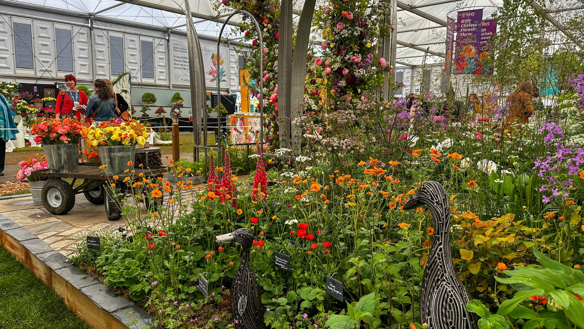 Buckets of colourful flowers and floral displays inside the Flowers from the Farm exhibit at Chelsea Flower Show.