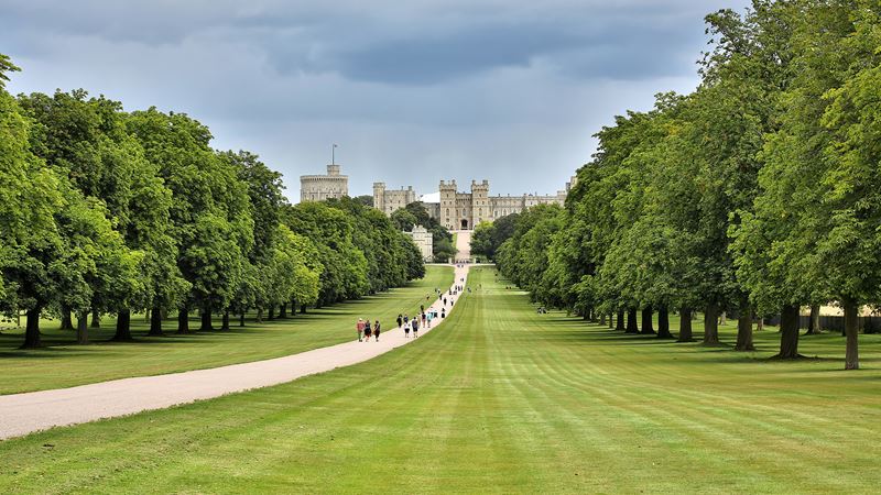 The tree-lined Long Walk leading to Windsor Castle 