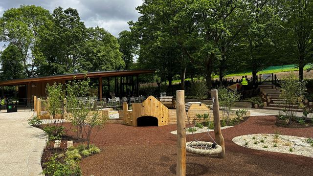 Nature-themed playground at Horniman Museum with wooden climbing equipment and swings.