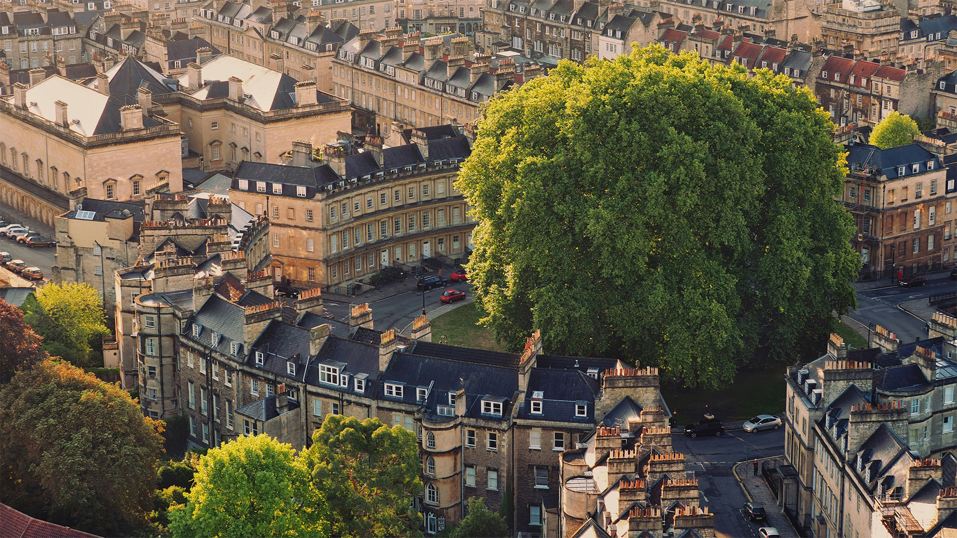 Explore the gorgeous city of Bath on a day trip from London. Photo by Alex Atudosie on Unsplash. Aerial view of Georgian houses in Bath set in a circle around a large tree on a sunny day.
