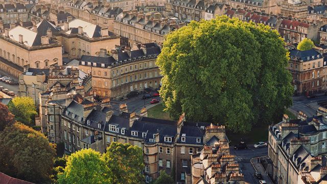 Aerial view of Georgian houses in Bath set in a circle around a large tree on a sunny day.
