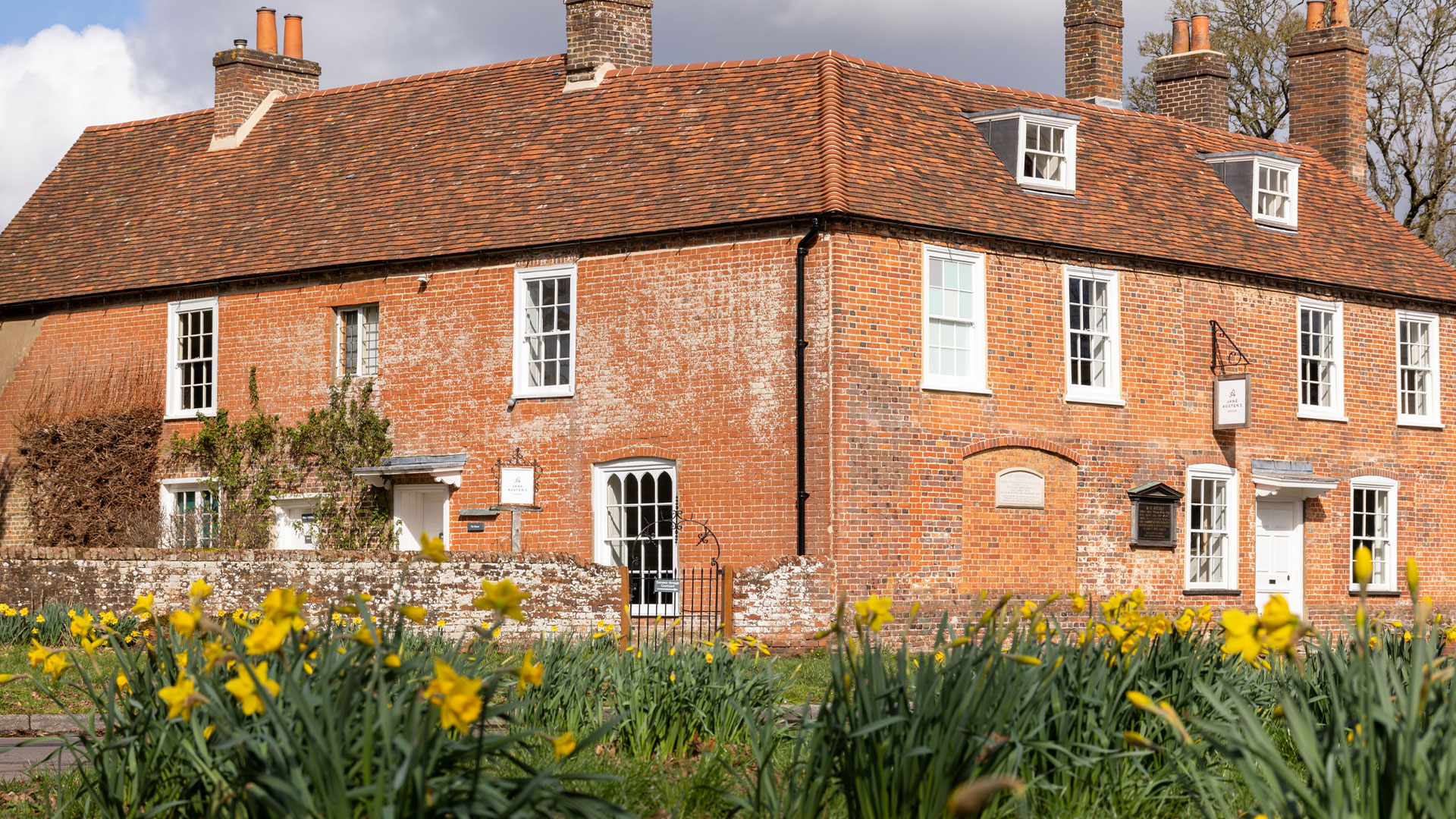 The Jane Austen's House Museum, a red brick building, stands in front of a field of daffodils in bloom.