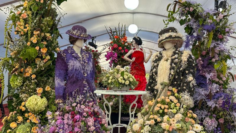 A floral istallation of purples and yellows of the dowager from downton abbey.