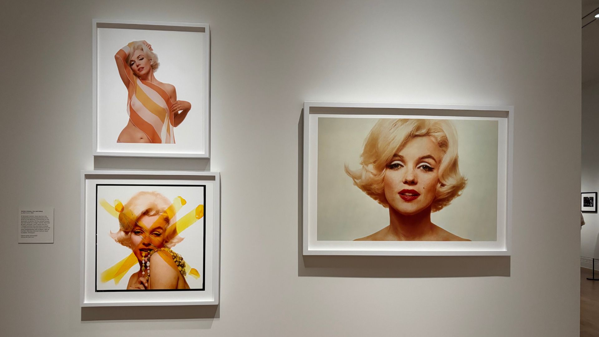 The Last Sitting by Bert Stern, in the exhibition Marilyn Monroe: A Portrait at the National Portrait Gallery, London.