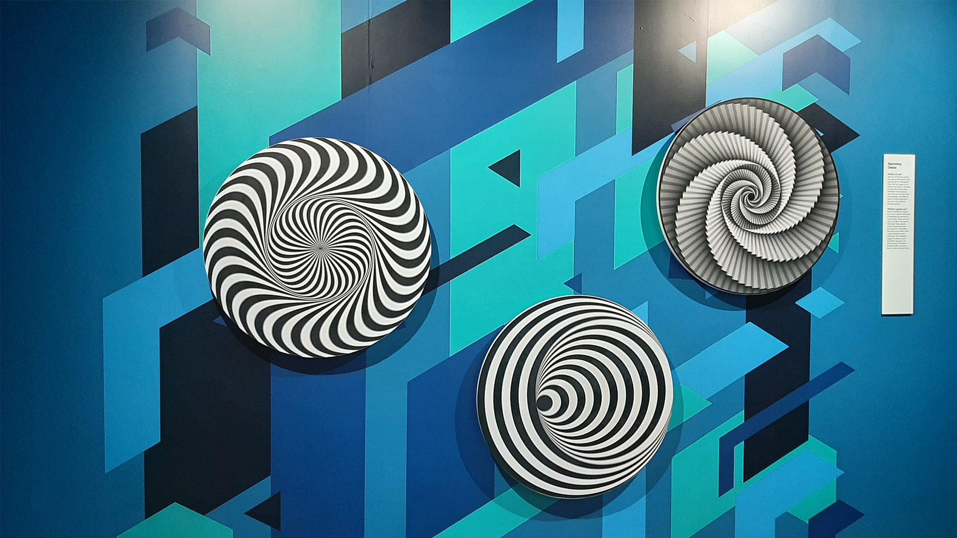 Three different types of spinning plates on a blue wall with patterns.