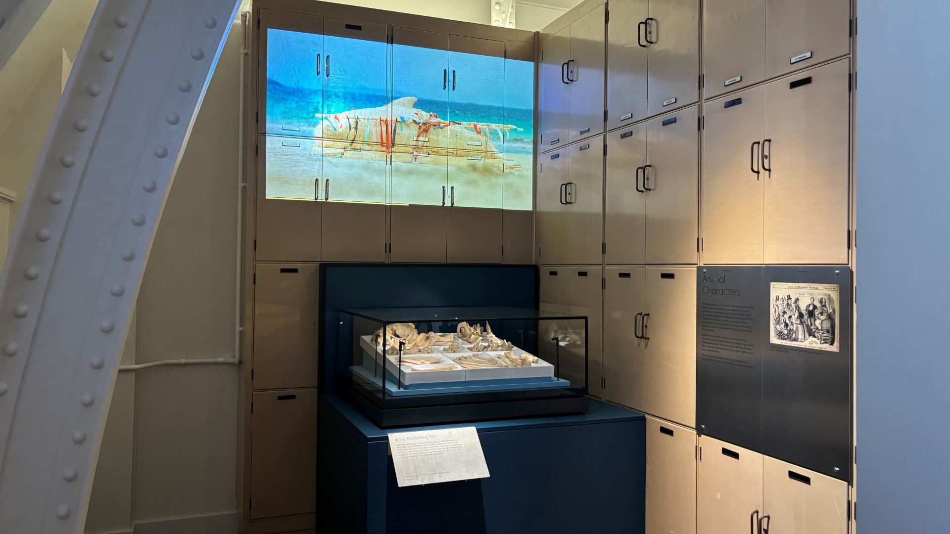 An exhibition room surrounded by cabinets with an interactive screen and glass display in the centre.