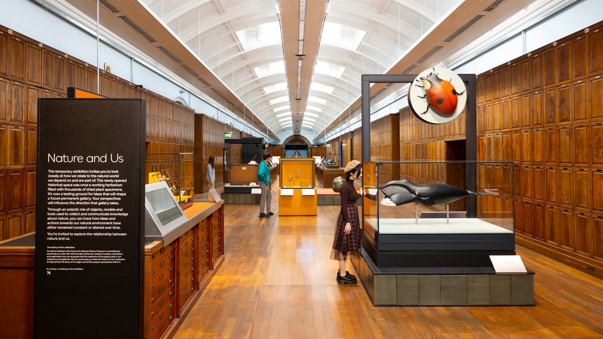 Nature and Us gallery room lined with wooden cabinets and ladybird and other artefacts in the centre.