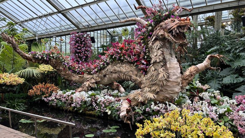 Chinese dragon as Orchid installation at Kew Gardens Orchid Festival.