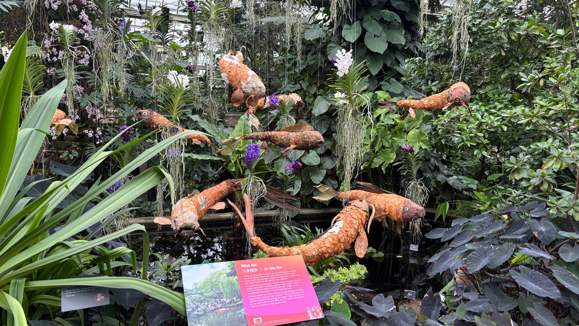 See China’s spectacular flowers and fauna at Kew Gardens Orchid Festival 2026. © Visit London/Charlotte Pritchard. Installations of koi carp at Kew Gardens Orchid Festival.