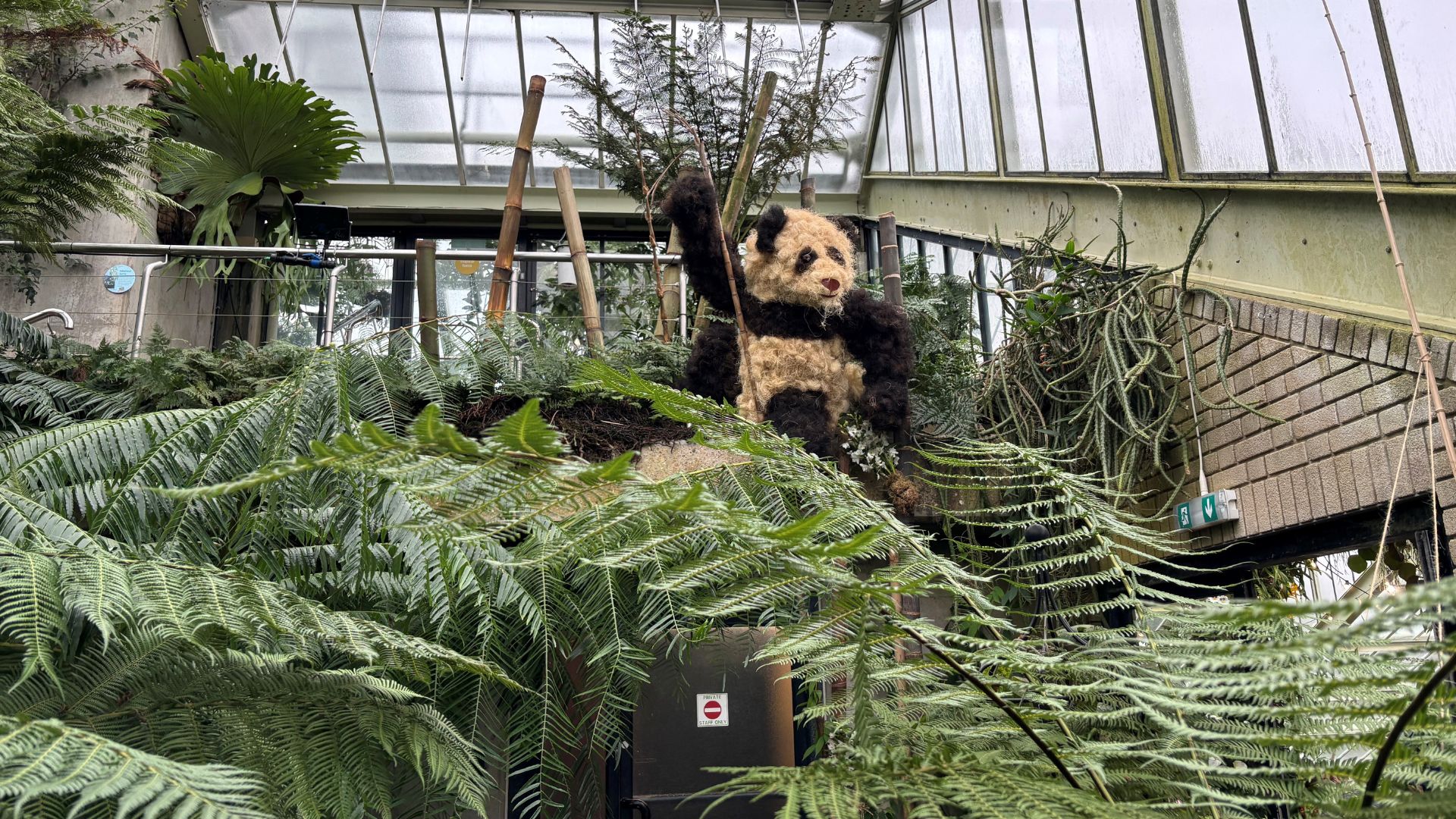 Installation of a panda surrounded by leaves at Kew Gardens Orchid Festival.