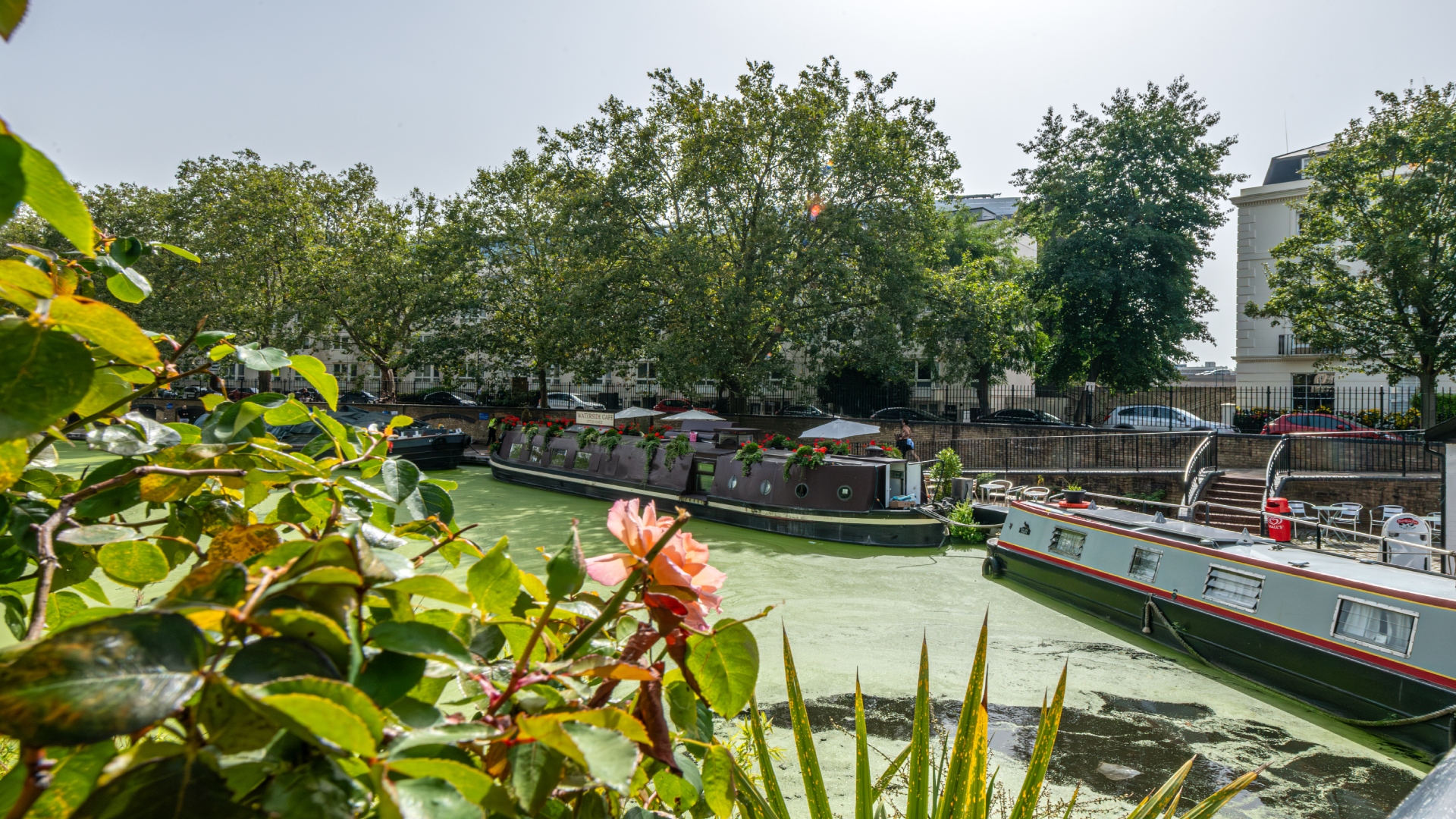 Little Venice pictured on a sunny day