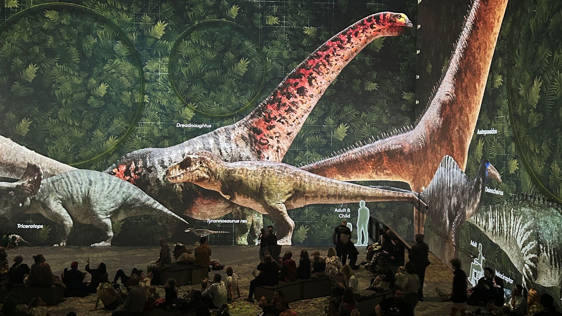 Discover large-scale dinosaurs at Prehistoric Planet: Discovering Dinosaurs, with species including the Tyrannosaurus rex and Dreadnoughtus. Image courtesy of Hannah Cornish. People seated in front of a massive projection showing various dinosaurs, including Tyrannosaurus rex, Triceratops, and Dreadnoughtus, with labels identifying each species against a lush green forest backdrop.