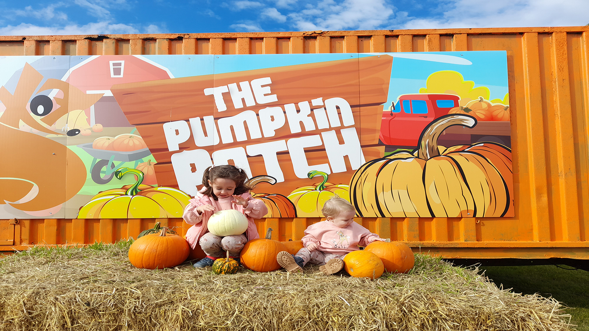 Pumpkin patches in London: Best places to visit this autumn