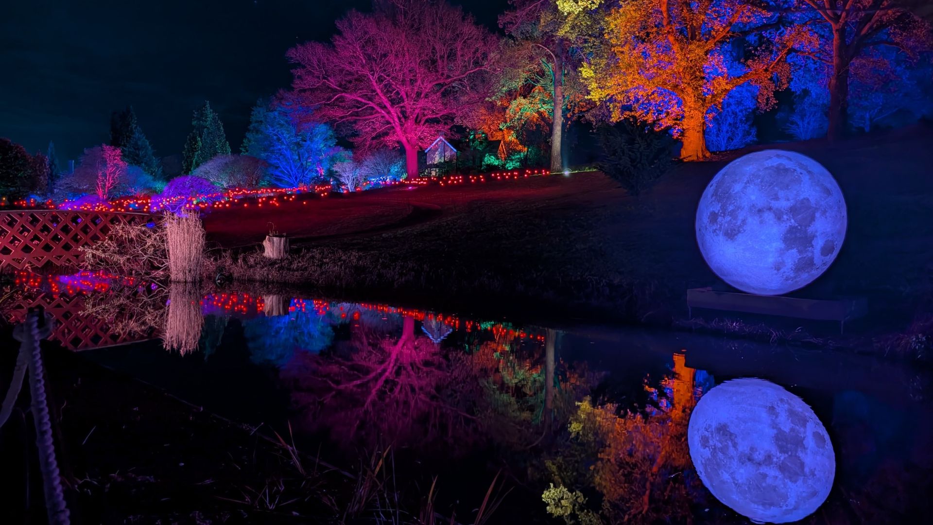 A glowing moon adds enchantment to the illuminated gardens at RHS Glow at Wisley. Image courtesy of Hannah Cornish. Large illuminated moon sculpture reflected in a pond with colourful trees in the background