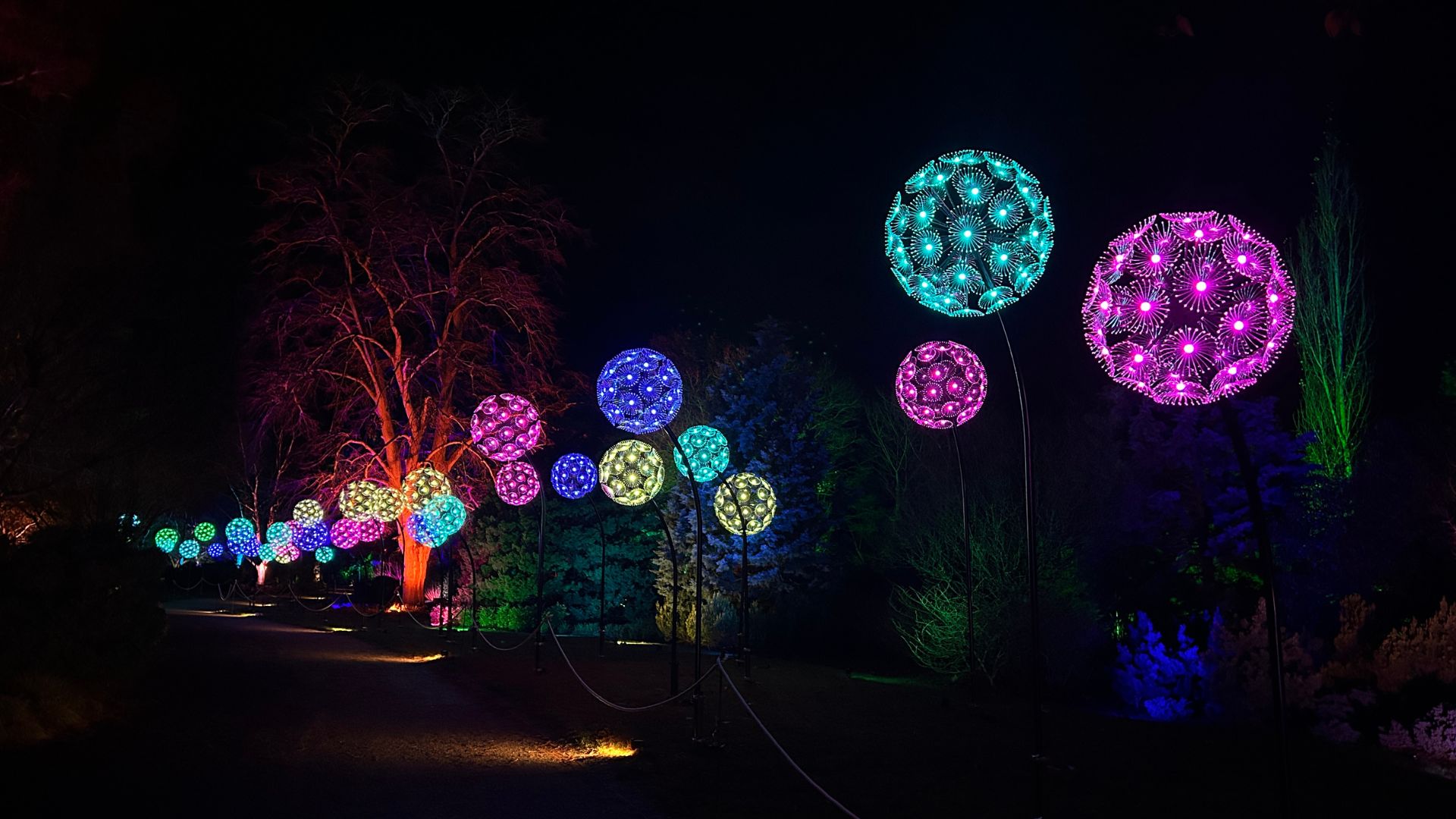 Row of glowing spherical light installations in various colours along a garden path