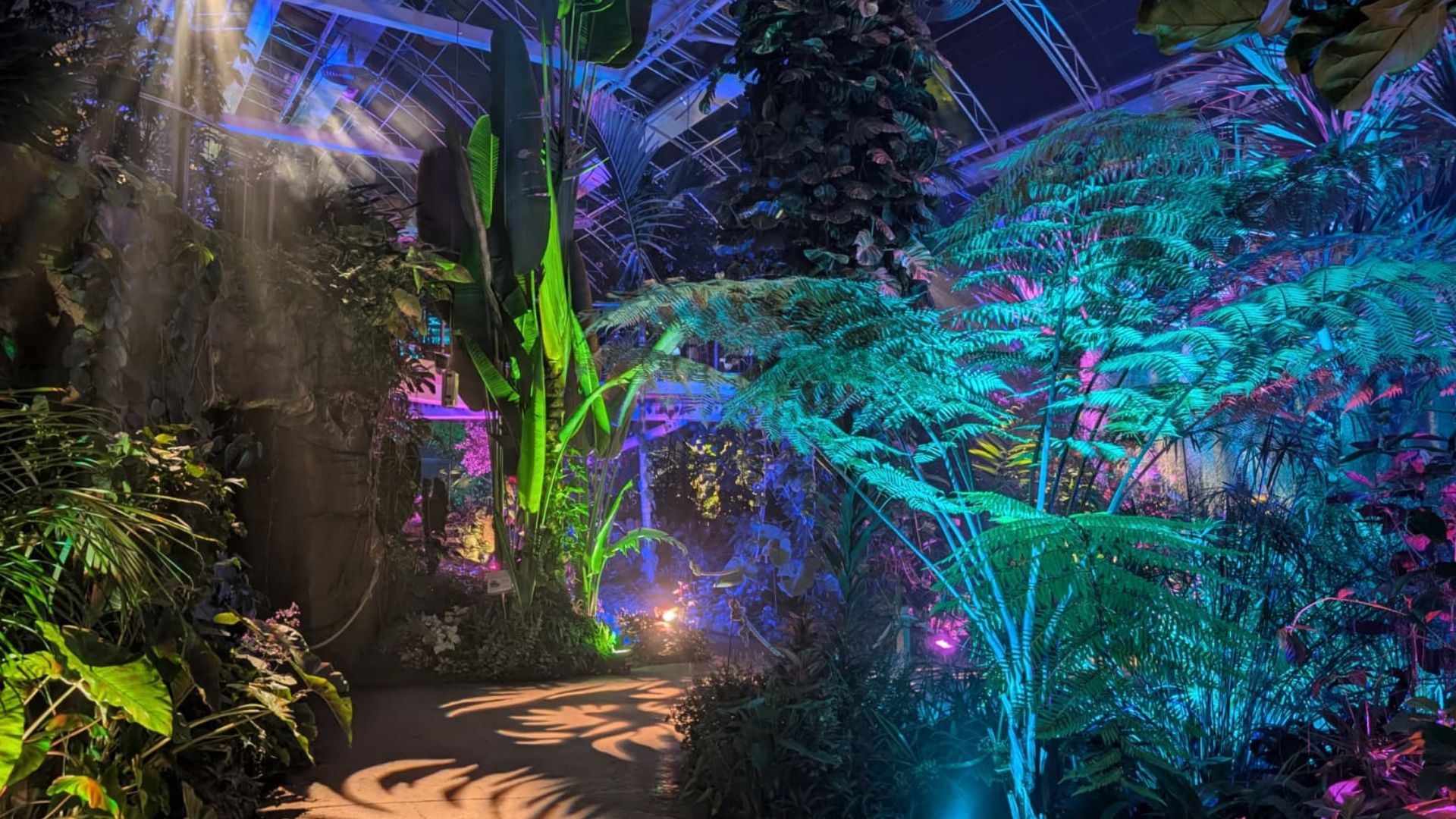 Indoor tropical garden with vibrant coloured lighting on plants and pathways