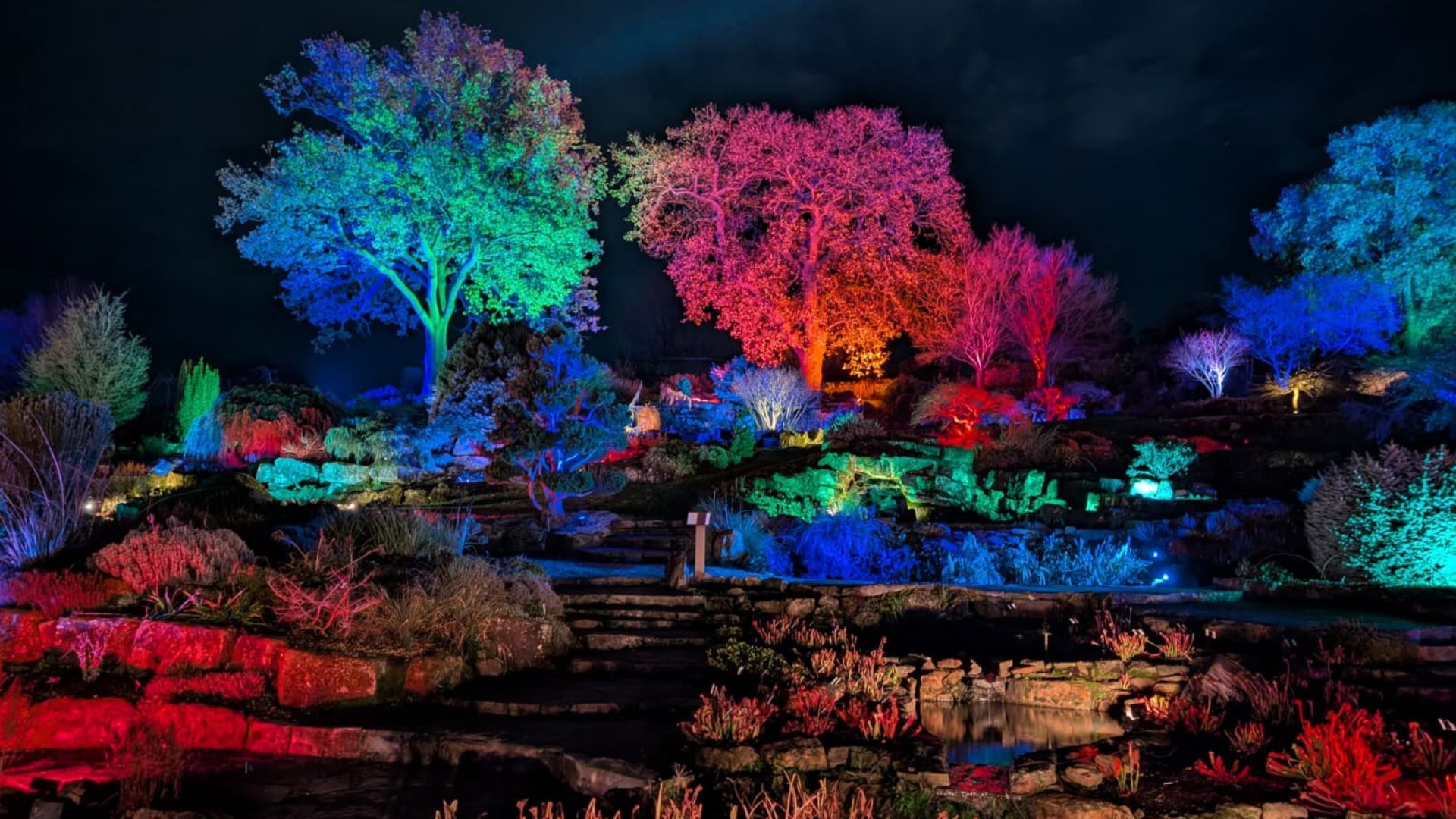 Rocky garden landscape illuminated with multicoloured lights highlighting trees and shrubs