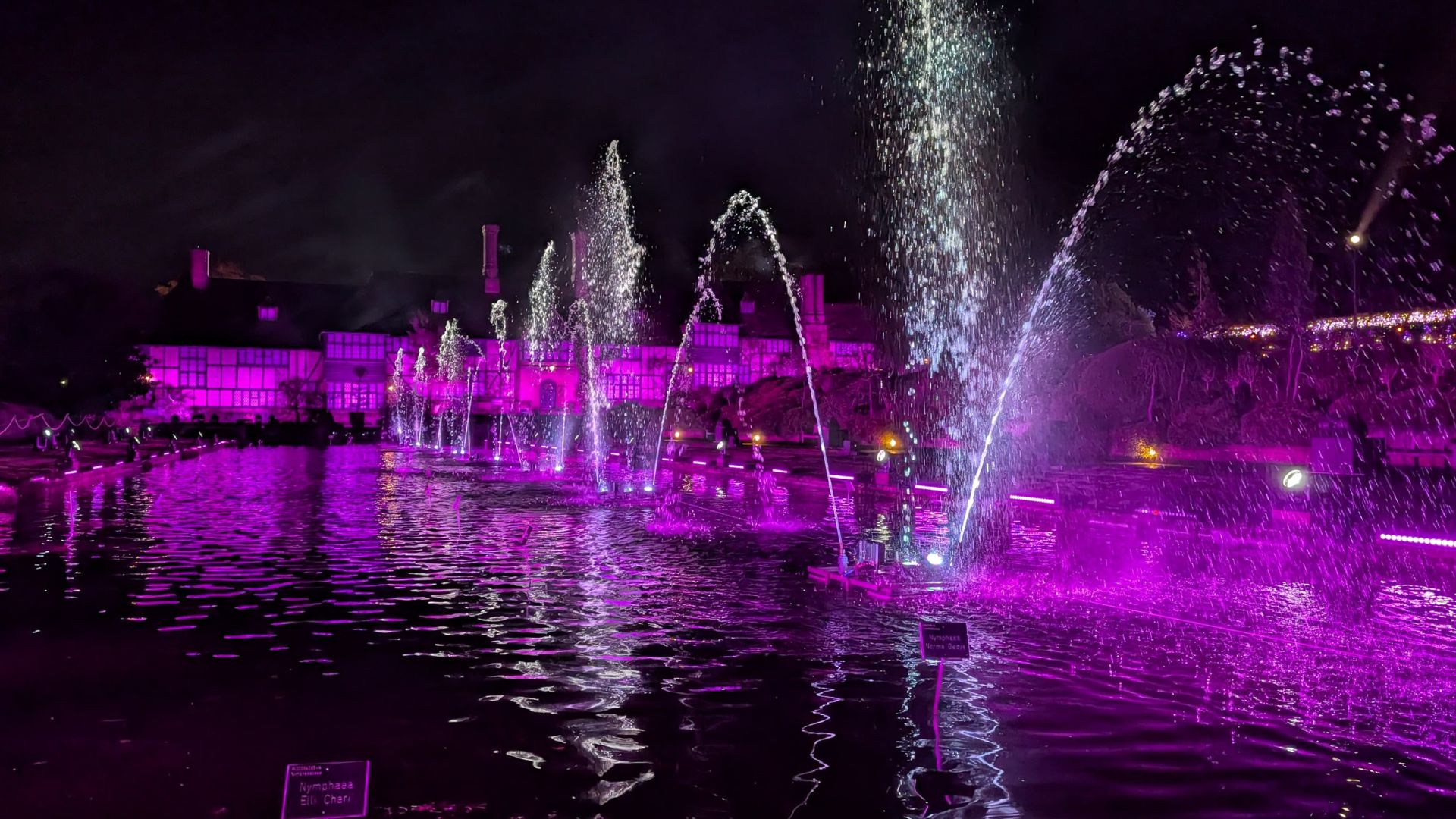 Water fountains glowing pink against a dark night sky with reflections in the pond