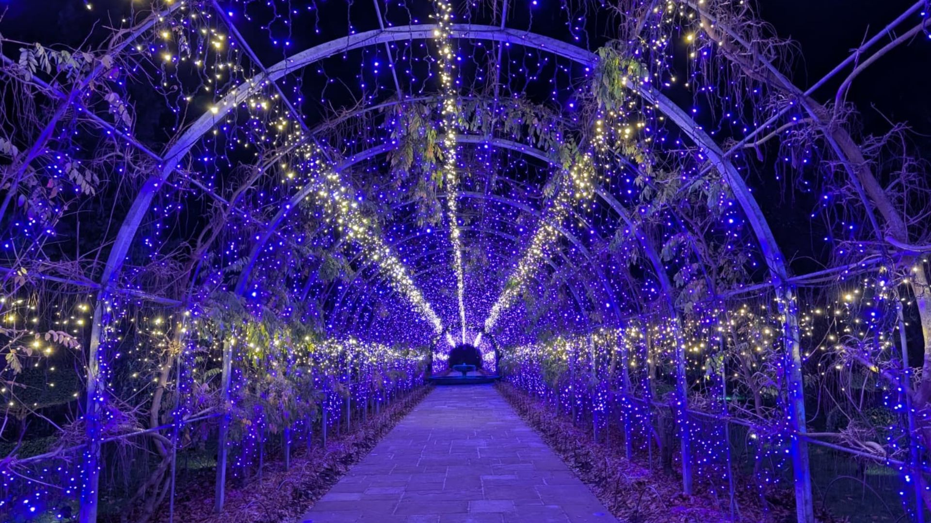  Tunnel of blue and white fairy lights forming an archway over a garden path