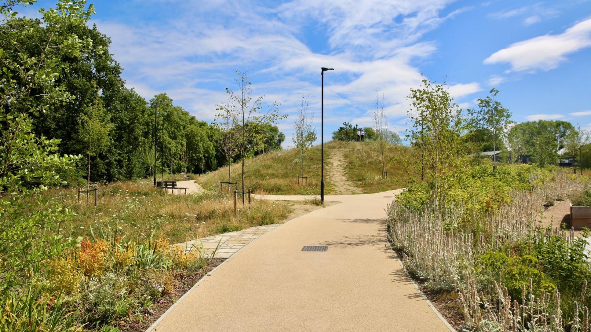 Discover Springfield Park London s Newest Park Discover Springfield Park London s Newest Park