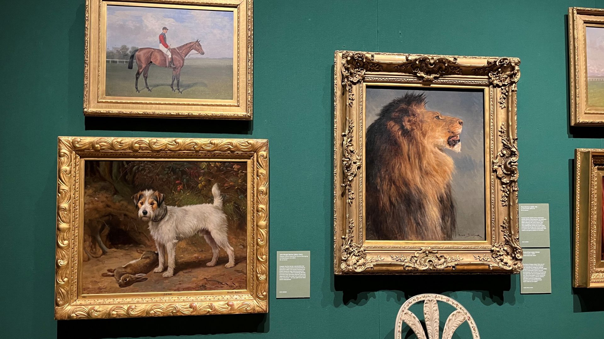 Uncover the stories behind the royal couple’s beloved pets and treasured artworks at The Edwardians: Age of Elegance. © Visit London/Charlotte Pritchard. Framed painting of a pet dog, horse and image of a lion at The King's Gallery.