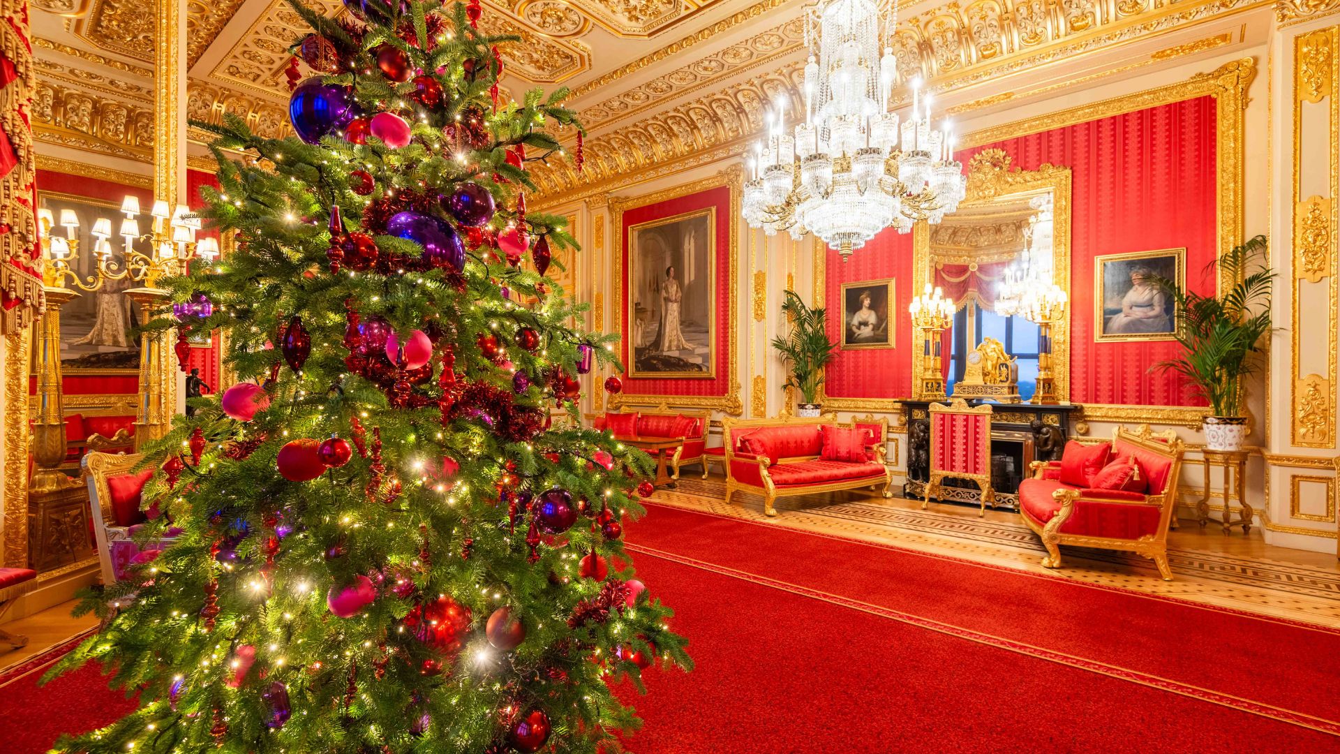 See a 16ft Nordmann fir Christmas tree in the Crimson Drawing Room, Windsor Castle. © Royal Collection Enterprises Limited 2025 | Royal Collection Trust.