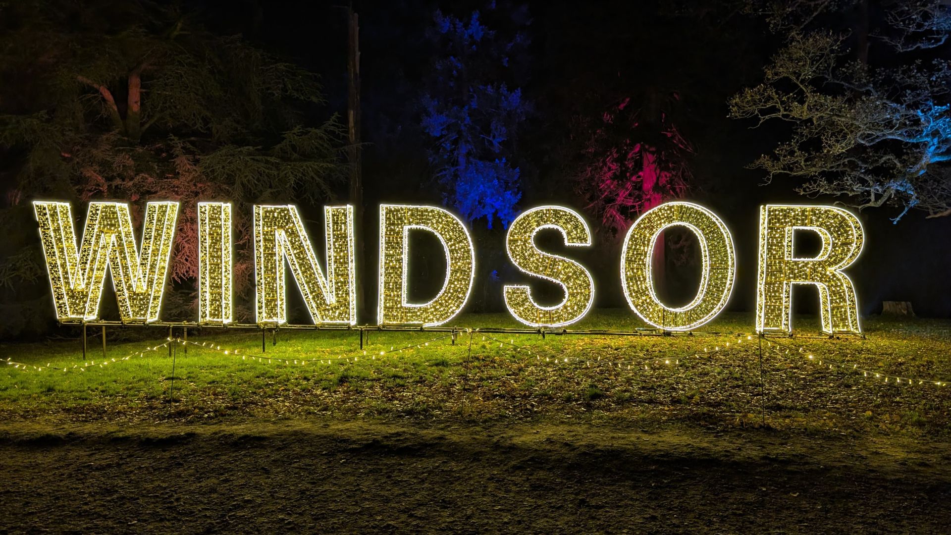 Experience the magic of Christmas at Windsor Great Park Illuminated. Image courtesy of Hannah Cornish. Large illuminated letters spelling 'WINDSOR' glowing in warm white lights on a grassy area at night, with colorful trees lit in blue and pink in the background.