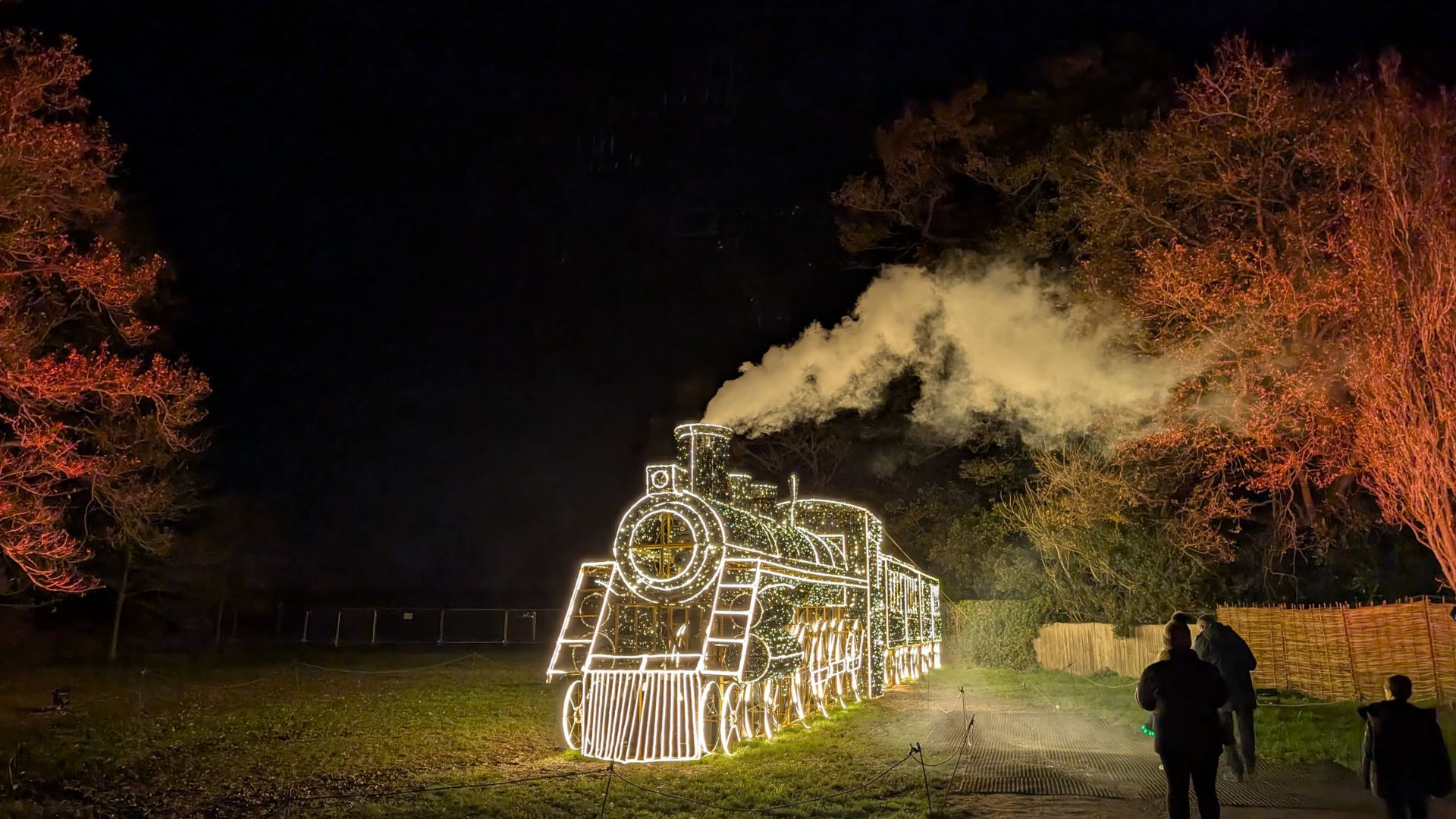 Light installation of a steam train glowing in white lights with smoke effect, set against a dark night sky and surrounded by trees.