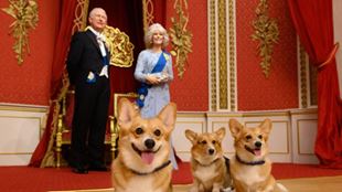 Corgis sit in front of wax figures of king charles and camilla at madame tussauds.