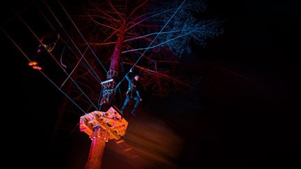 Take your Halloween adventure to new heights with an exhilarating nighttime experience among the trees. Image courtesy of Go Ape.