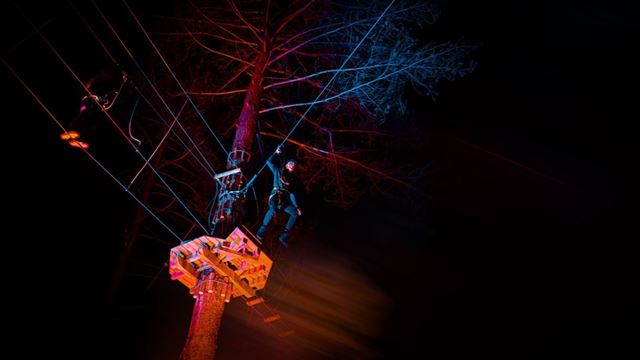 A person climbs a high ropes course among trees illuminated by red and blue lights at night.
