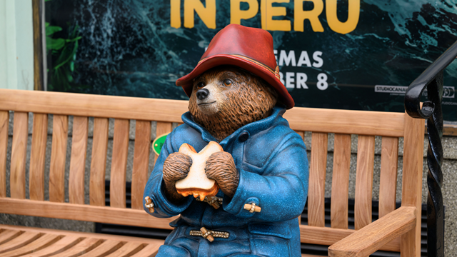 Paddington plush best sale