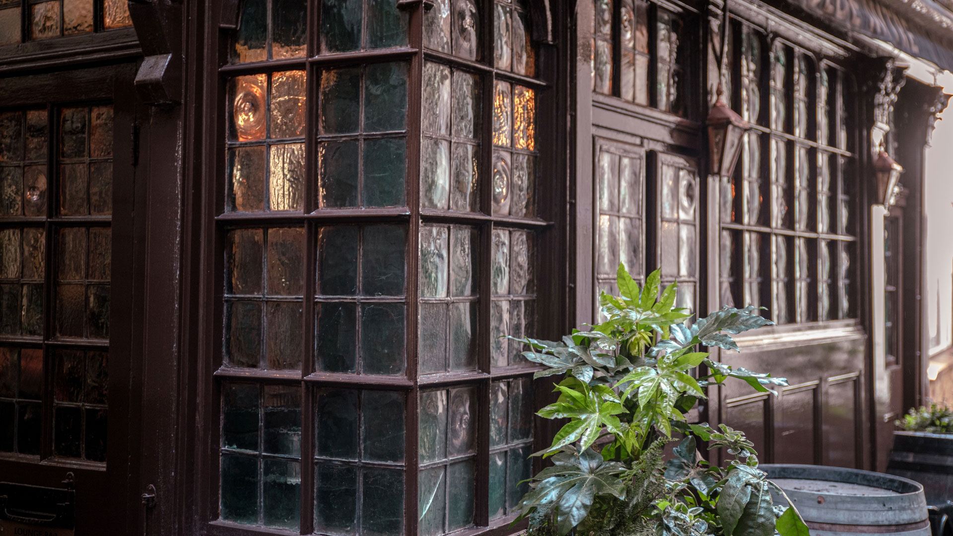 A photo of the exterior of Ye Olde Mitre with its old glass windows and dark red painted wood with a plant outside and warm lighting shining through