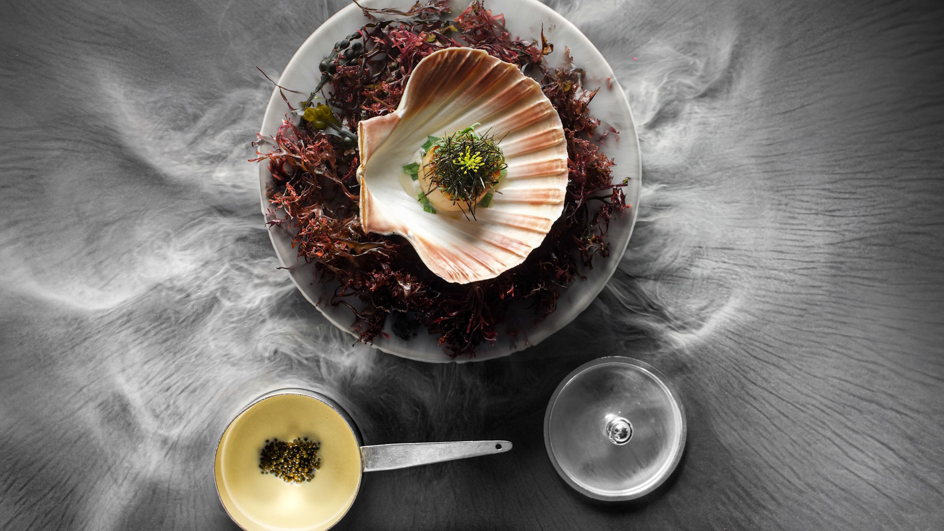 Sea scallop dish presented in a shell on a bed of seaweed with caviar sauce on the side.