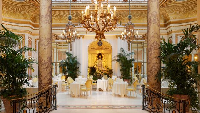 Steps leading to The Palm Court dining room at The Ritz London, complete with elegantly dressed tables, yellow chairs, chandeliers and plants.