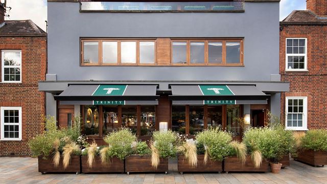 The exterior of Trinity restaurant with foliage in wooden containers outside the front. 