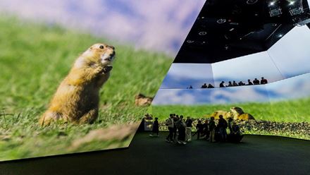 Journey through the seven continents in one epic experience at BBC Earth Experience. Image courtesy of BBC Earth Experience.