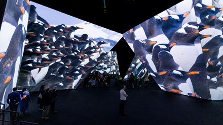 High-tech immersive experience at BBC Earth Experience watching breath-taking footage. Image courtesy of BBC Earth Experience.