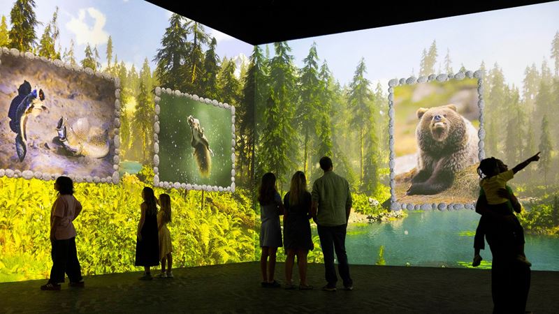 Journey through seven habitats as you discover the funniest moments from the Nikon Comedy Wildlife Awards at FRAMELESS. Image courtesy of FRAMELESS. People standing in front of a nature scene at FRAMELESS