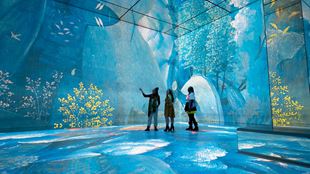 Blue and yellow immersive artwork showing at FRAMELESS.