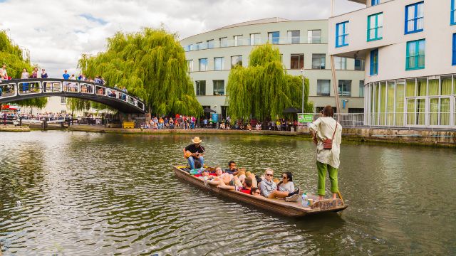 Top 10 outdoor lake activities to enjoy in London - Picnicking by the Lake